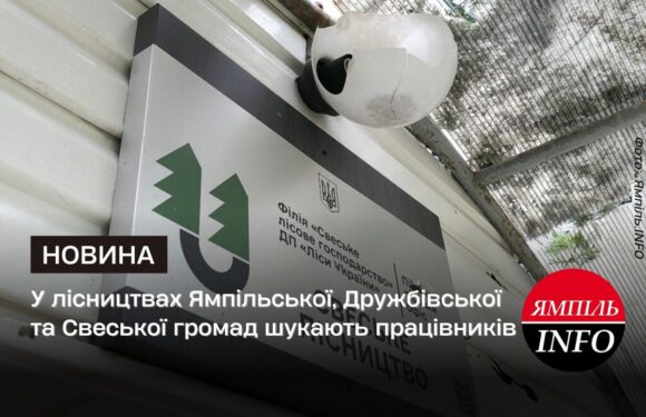 У лісництвах Ямпільської, Дружбівської та Свеської громад шукають працівників