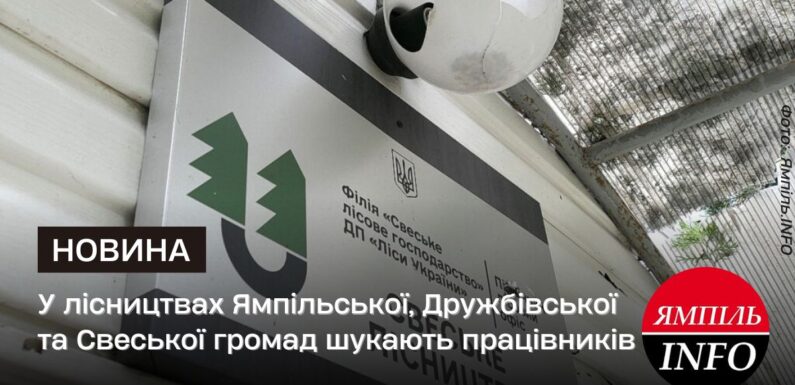 У лісництвах Ямпільської, Дружбівської та Свеської громад шукають працівників