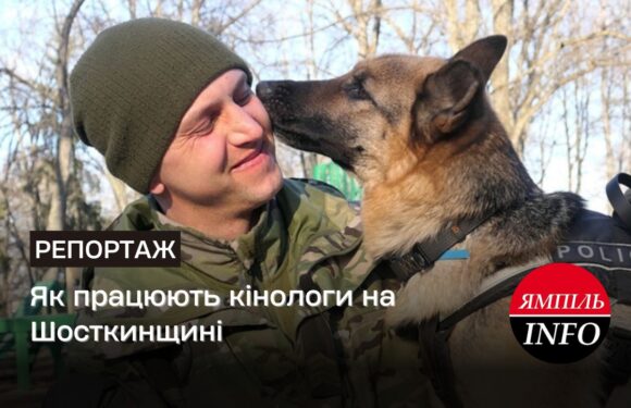 🔴Як працюють кінологи на Шосткинщині